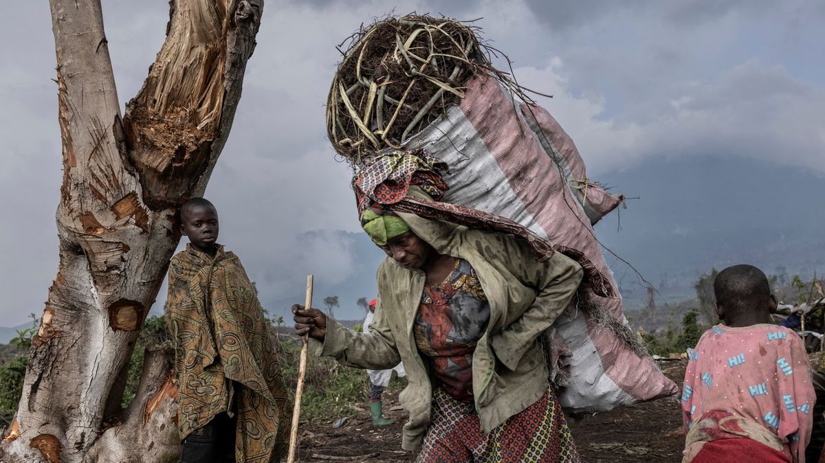 Fotky: Aby přežili, drancují Konžané prchající před válkou národní les